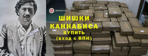 индика Каменка