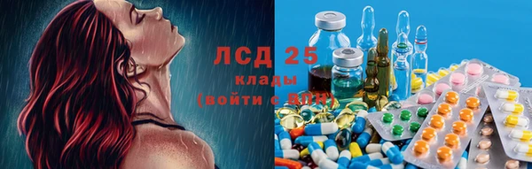 индика Каменка