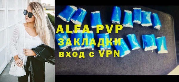 индика Каменка
