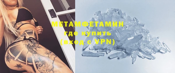 индика Каменка