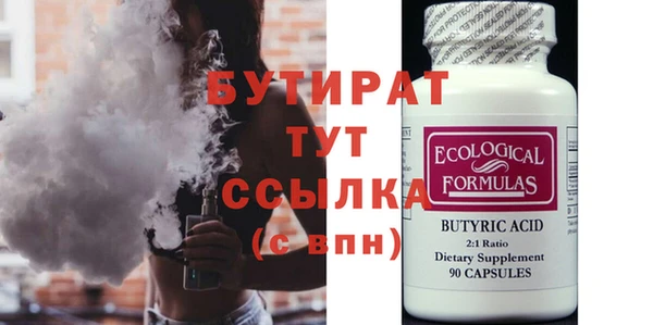 индика Каменка
