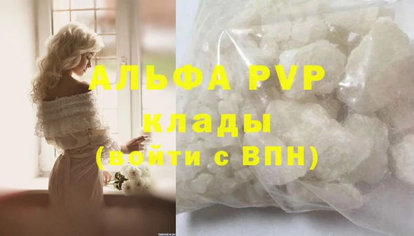 индика Каменка