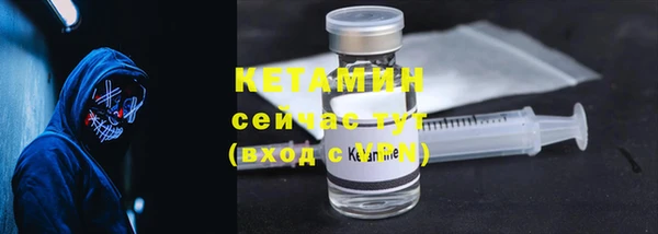 индика Каменка