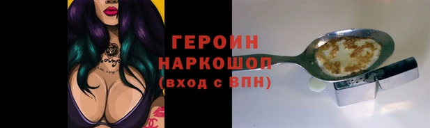 индика Каменка