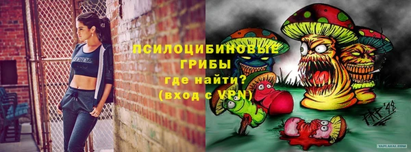 индика Каменка