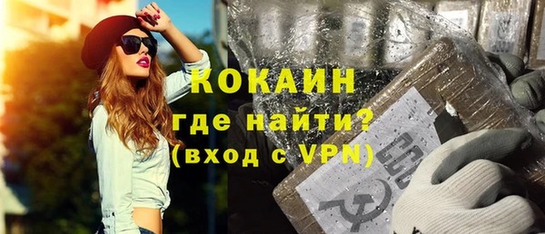 индика Каменка