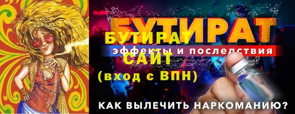 индика Каменка