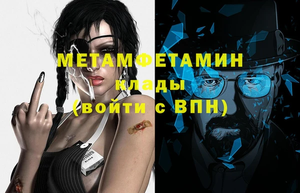 индика Каменка