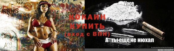 СК Касимов