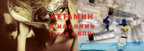 индика Каменка