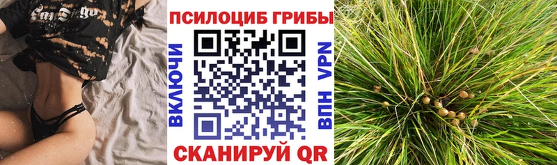 Галлюциногенные грибы мицелий  Михайловка 