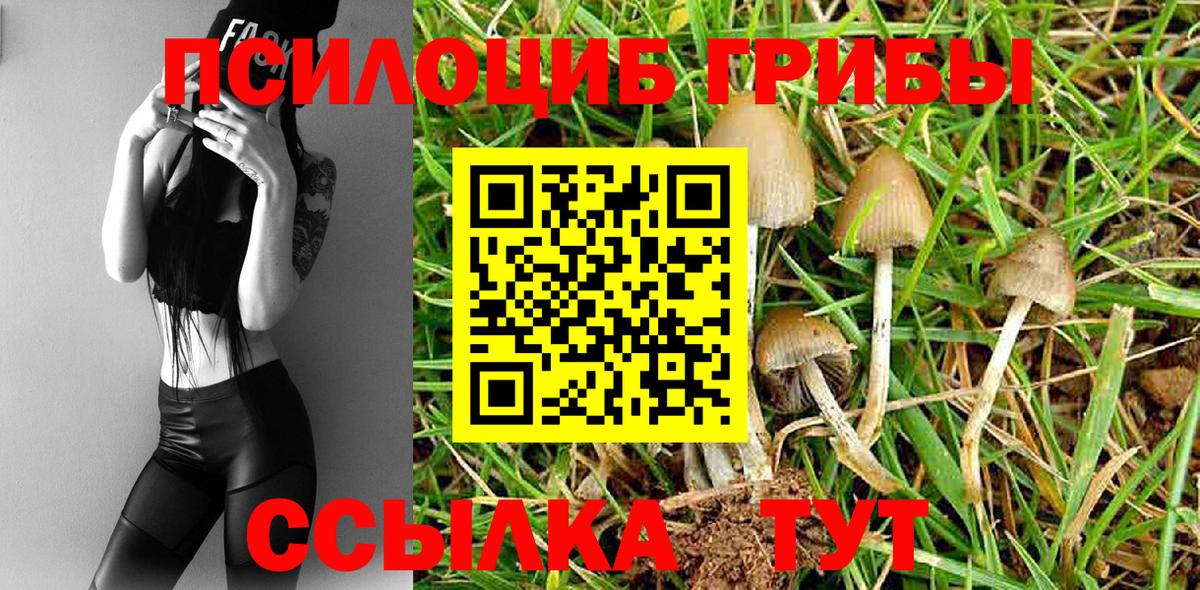 Михайловка  Псилоцибиновые грибы мицелий  Вход с VPN 