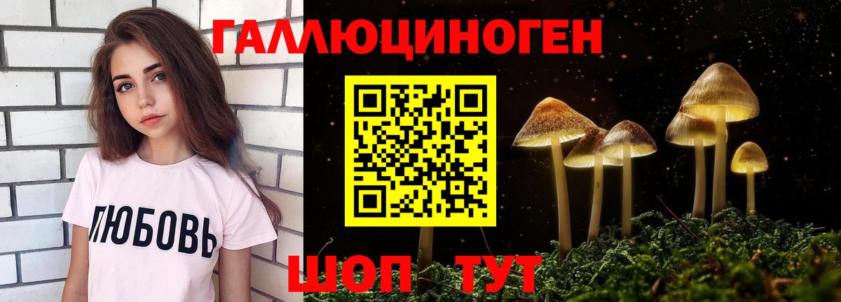 Псилоцибиновые грибы GOLDEN TEACHER Михайловка